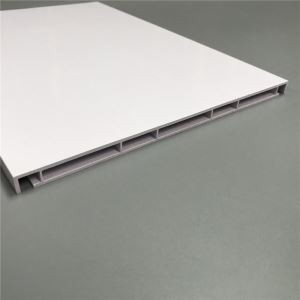 Pvc-plaatpaneel